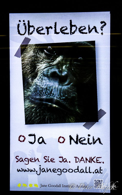 Fotomarathon 2014